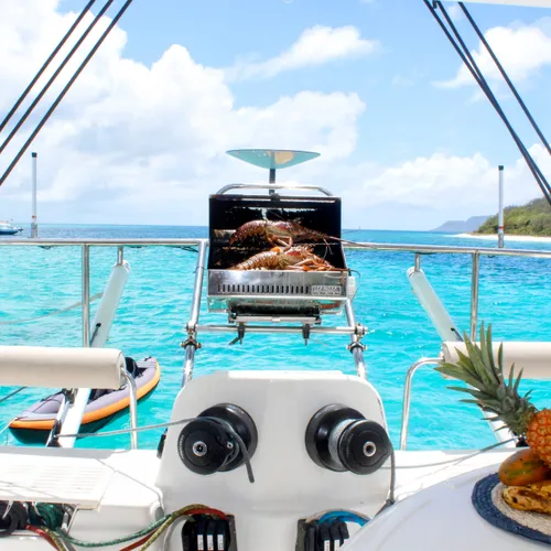 The Ikigai Catamaran – Comfort, Performance & Adventure 3