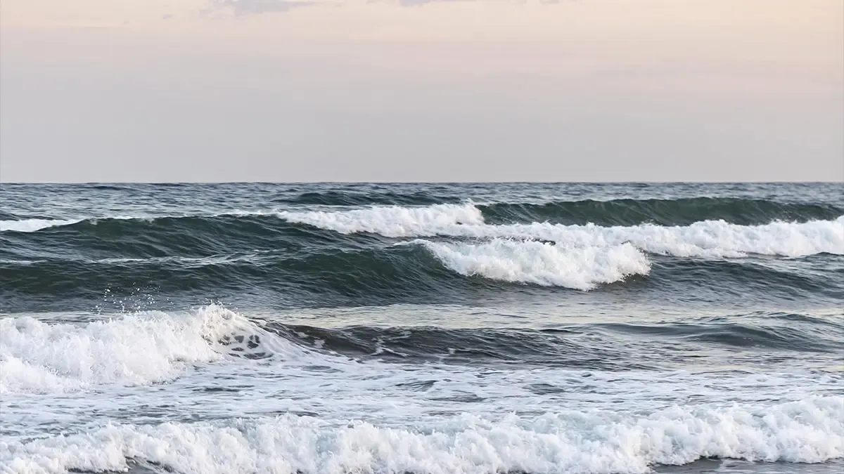 The Waves of the Sea: Types